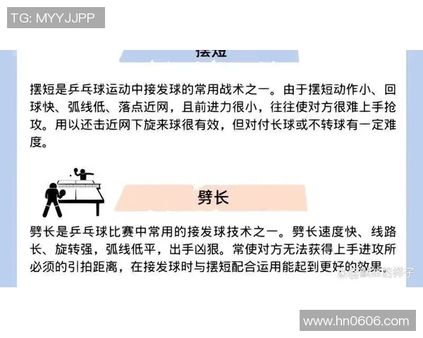 南京乒乓球队的训练节奏与比赛表现的深度分析与探讨 南京乒乓球队的训练节奏与比赛表现的深度分析与探讨